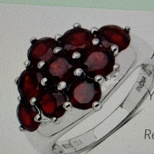 Elegant Sterling Silver Nine Stone Garnet Ring